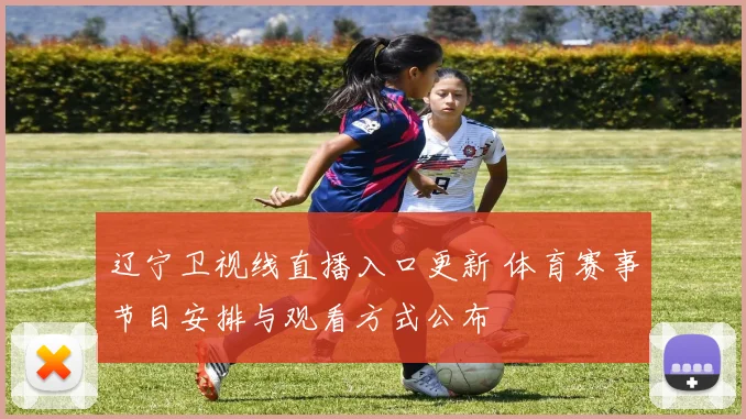 辽宁卫视线直播入口更新 体育赛事节目安排与观看方式公布