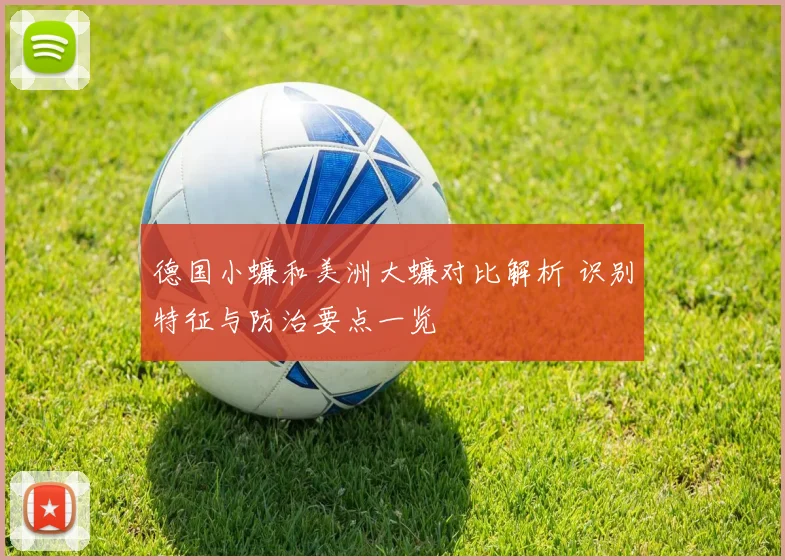 德国小蠊和美洲大蠊对比解析 识别特征与防治要点一览