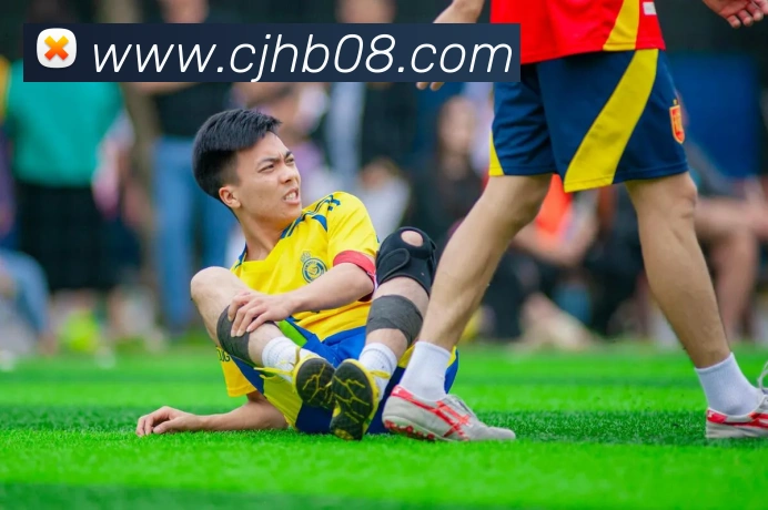 世界杯开户平台平台生态图